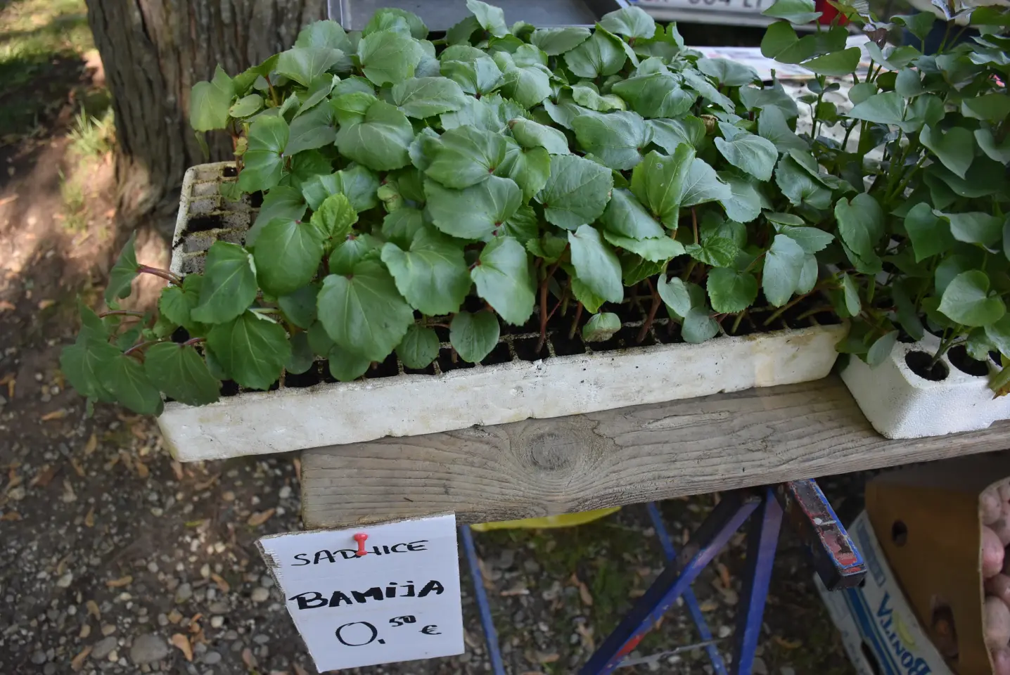 Sajam 14.5.2025. Čakovec (8)