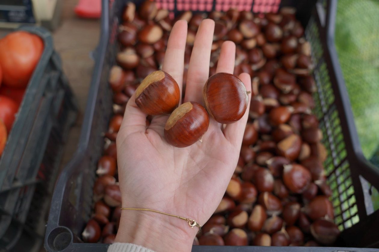 Sajam 15. 10. 2025 (11) KESTENI