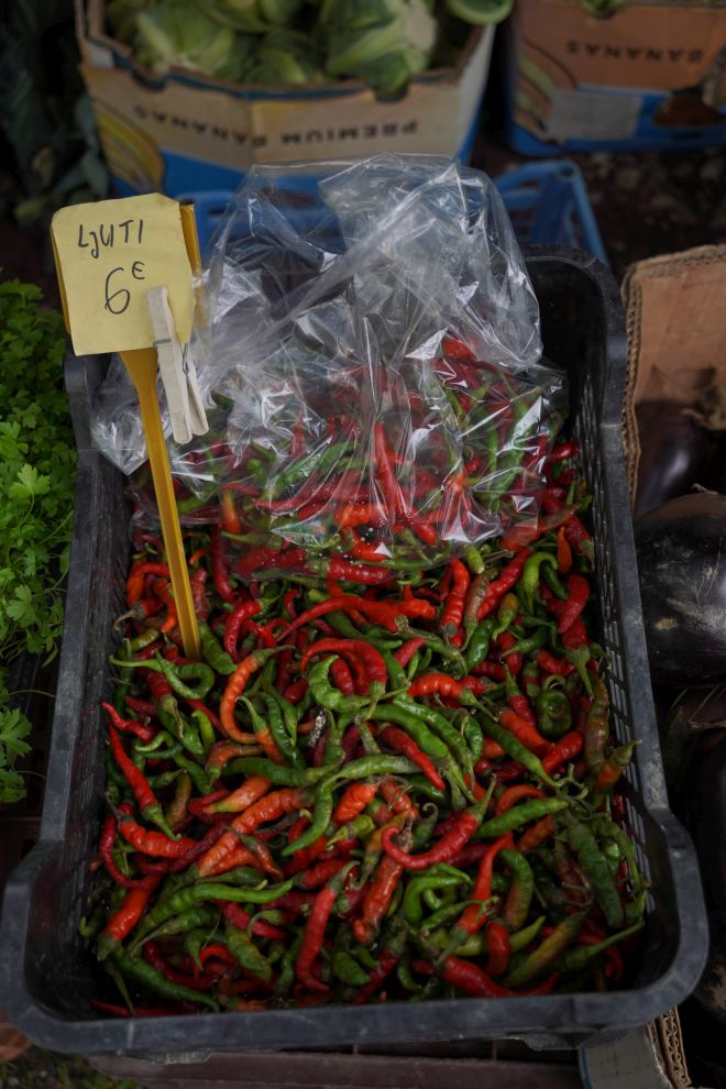 Sajam 15. 10. 2025 (12) Sajam 15. 10. 2025 (12)