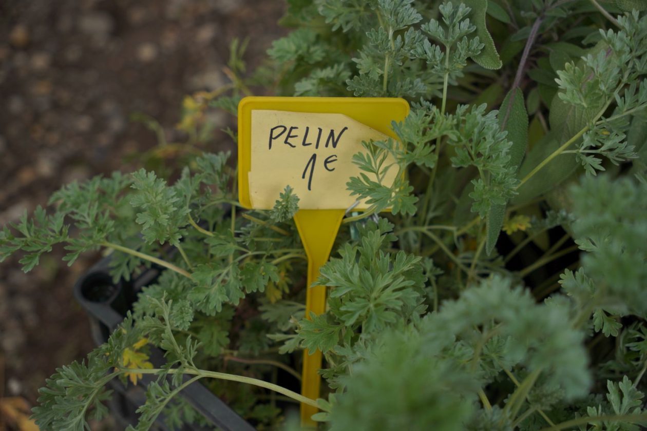 Sajam 15. 10. 2025 (13)