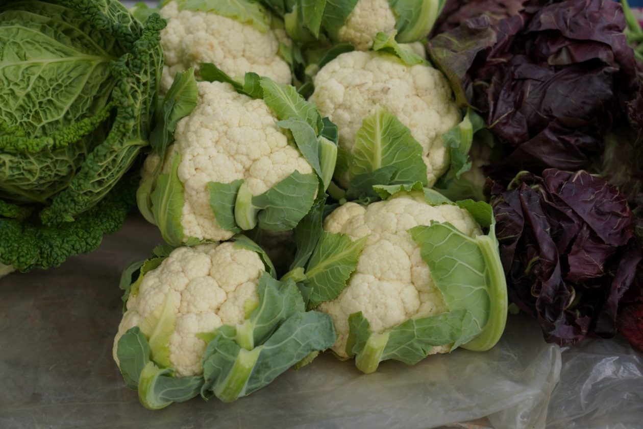 Sajam 15. 10. 2025 (14)