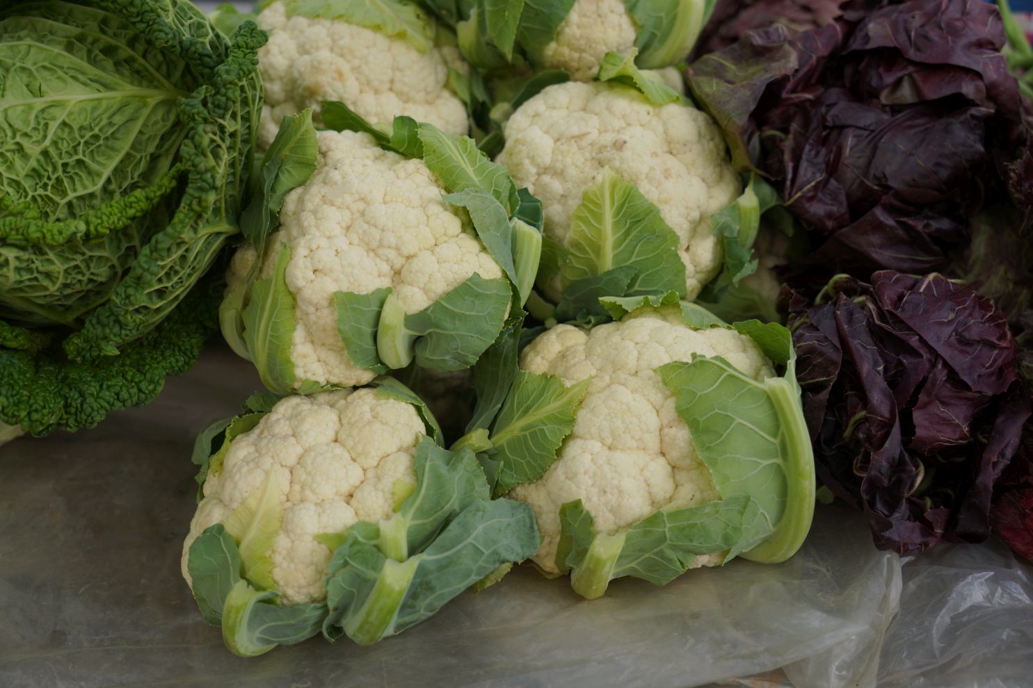 Sajam 15. 10. 2025 (14) Sajam 15. 10. 2025 (14)