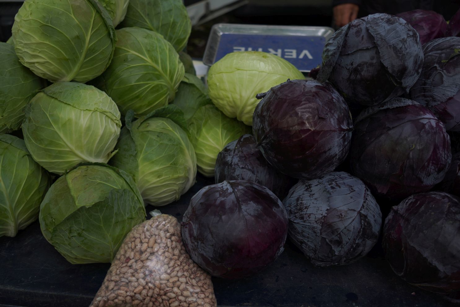 Sajam 15. 10. 2025 (15) Sajam 15. 10. 2025 (15)