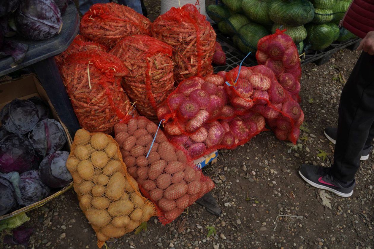 Sajam 15. 10. 2025 (16)