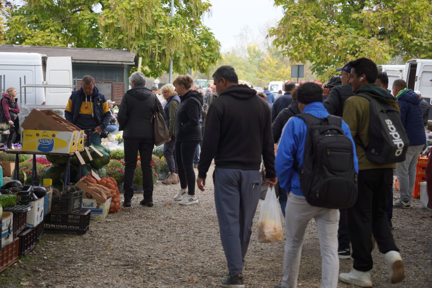 Sajam 15. 10. 2025 (18) Sajam 15. 10. 2025 (18)