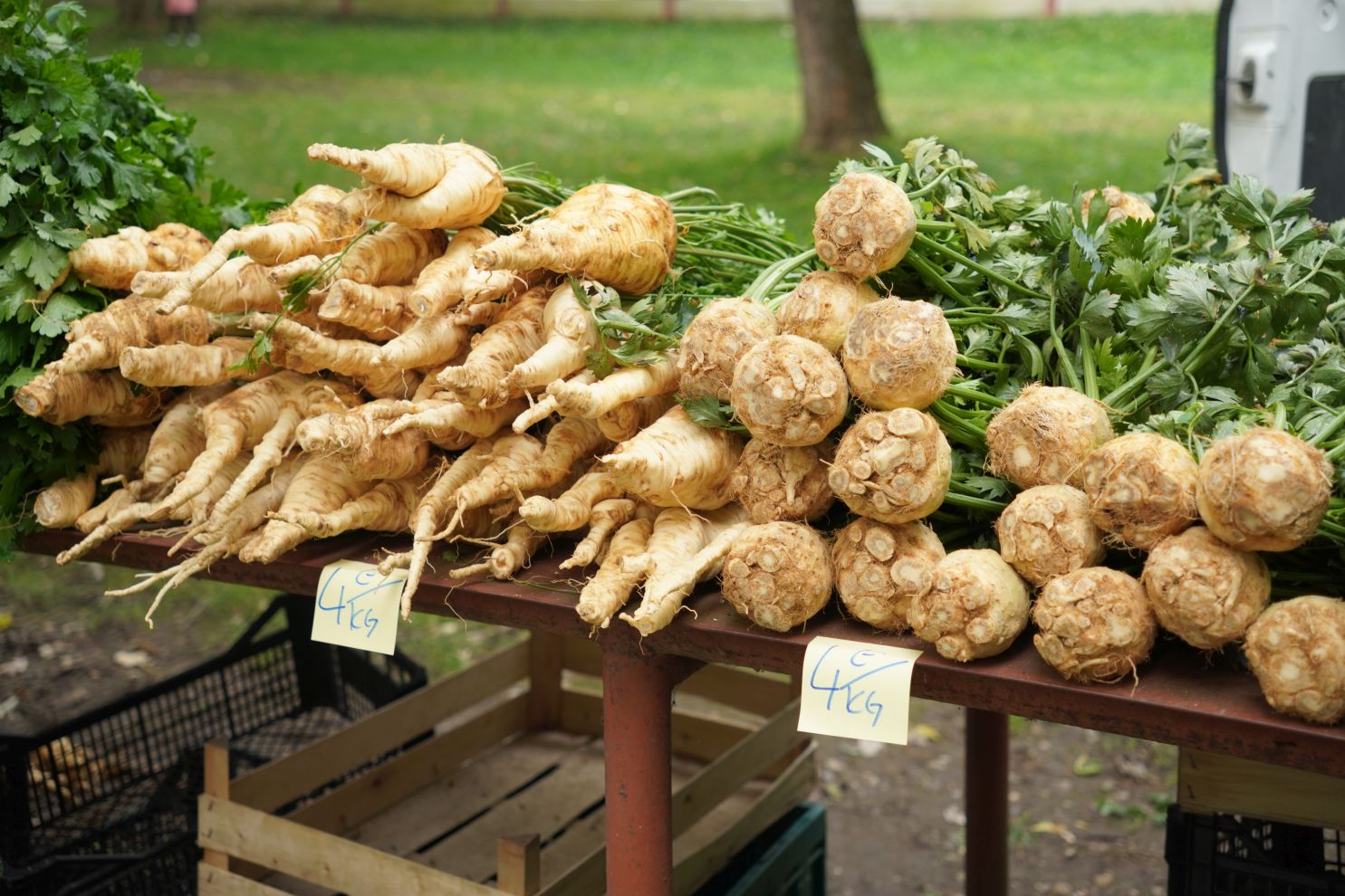 Sajam 15. 10. 2025 (28) Sajam 15. 10. 2025 (28)