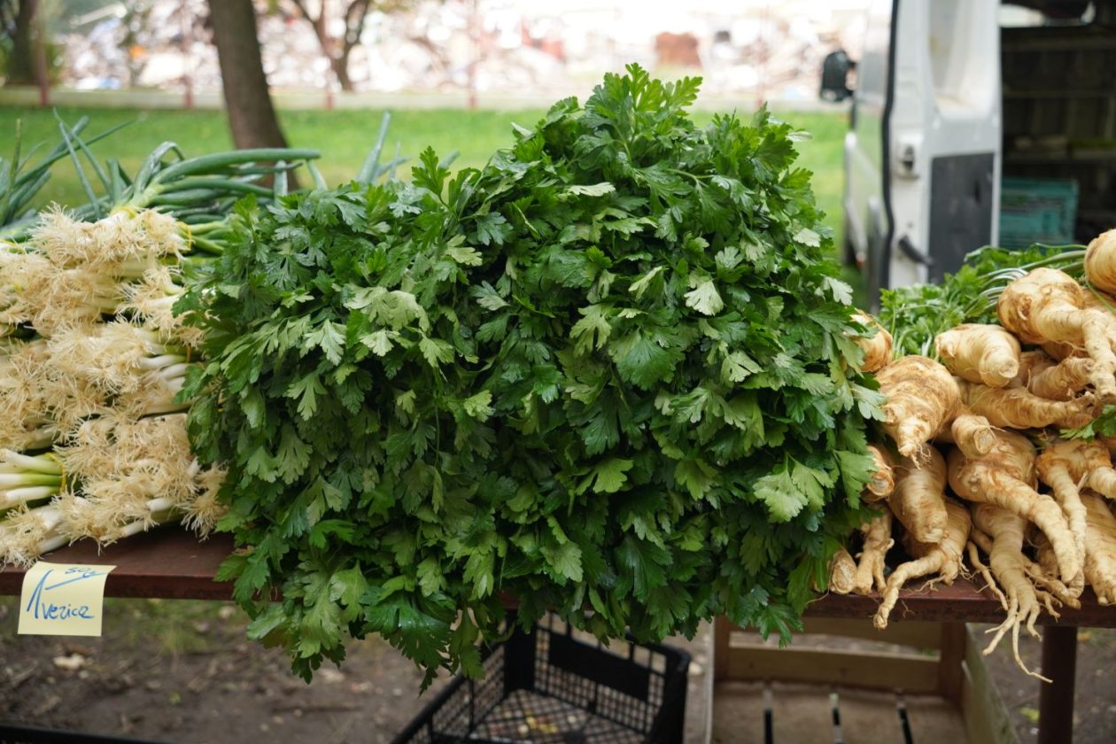 Sajam 15. 10. 2025 (29)