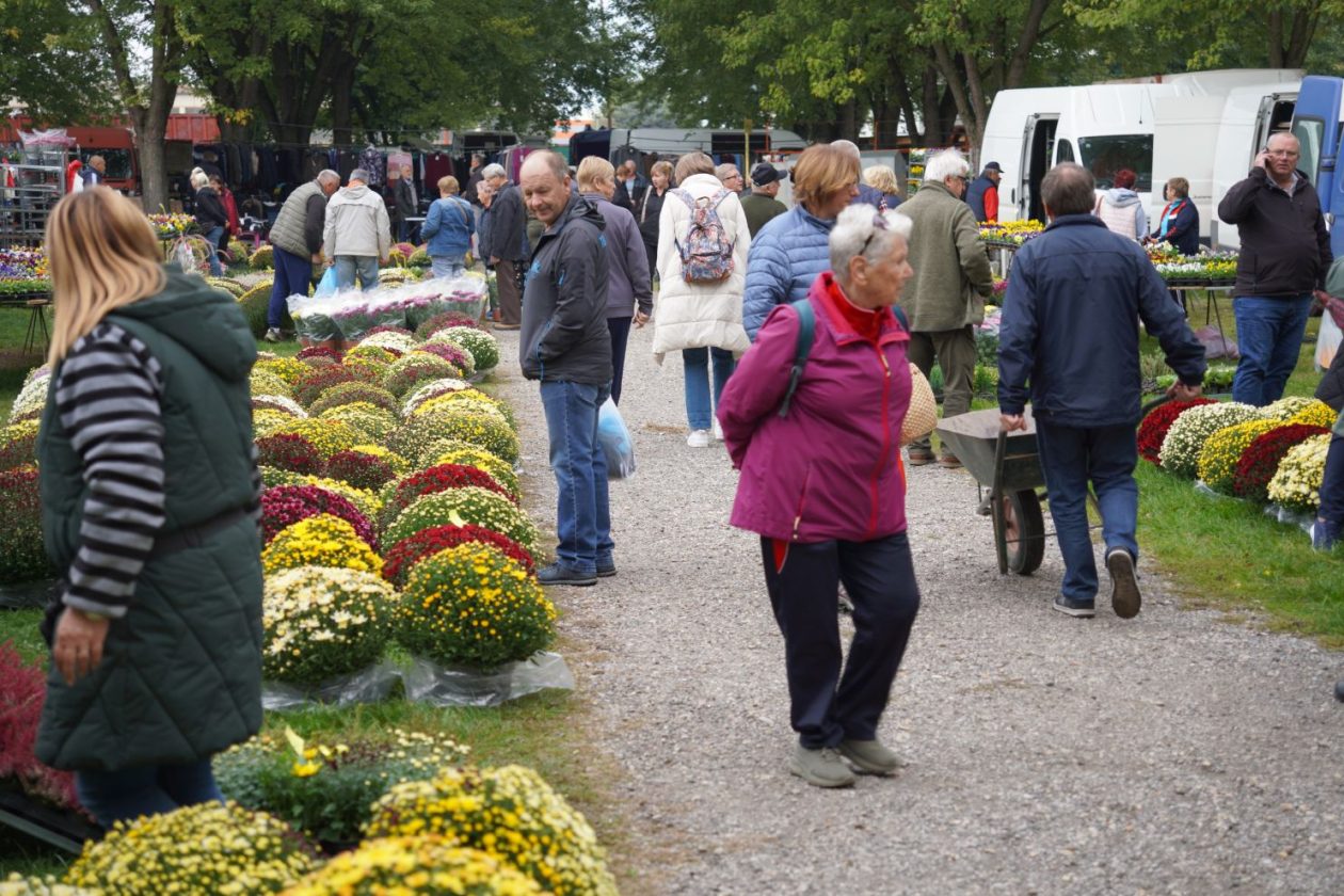 Sajam 15. 10. 2025 (43)