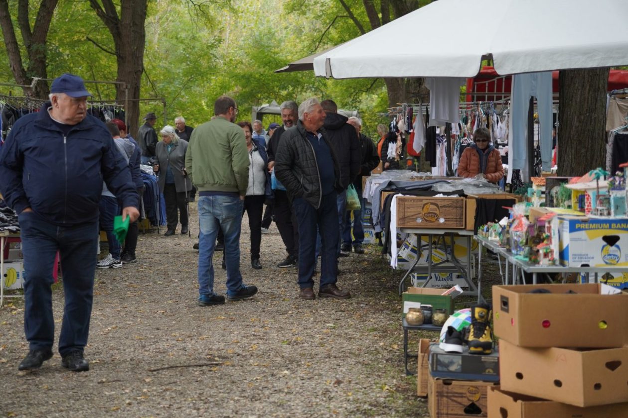 Sajam 15. 10. 2025 (51)