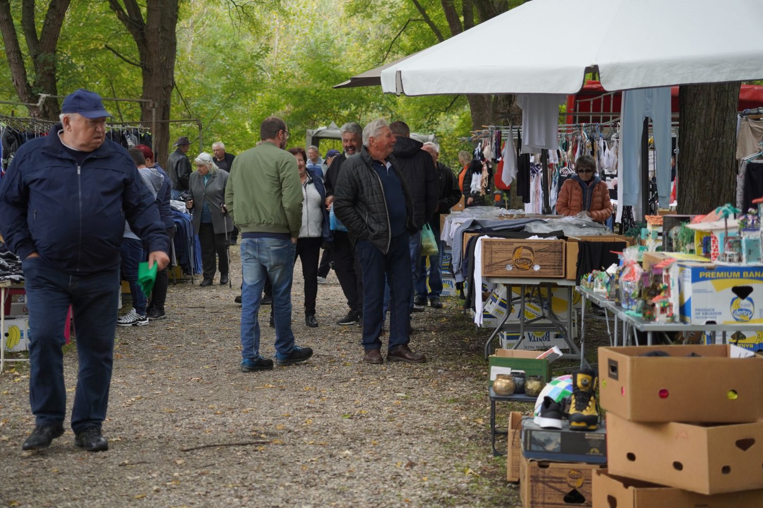 Sajam 15. 10. 2025 (51) Sajam 15. 10. 2025 (51)