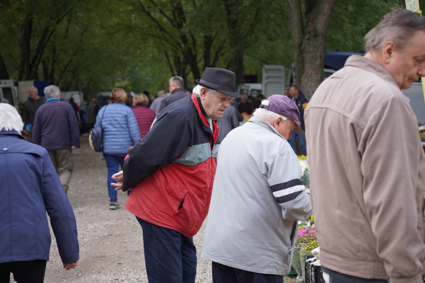 Sajam 15. 10. 2025 (6) Sajam 15. 10. 2025 (6)