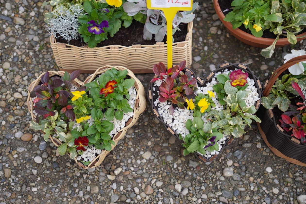 Sajam 15. 10. 2025 (8)