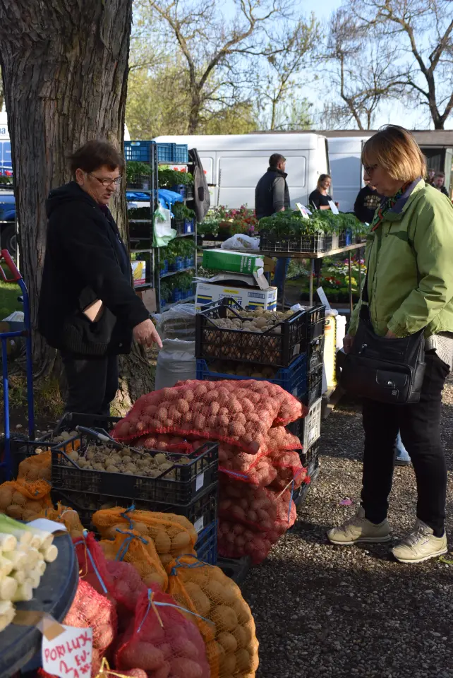 Sajam 16.4.25., Čakovec (10) Sajam 16.4.25., Čakovec (10)