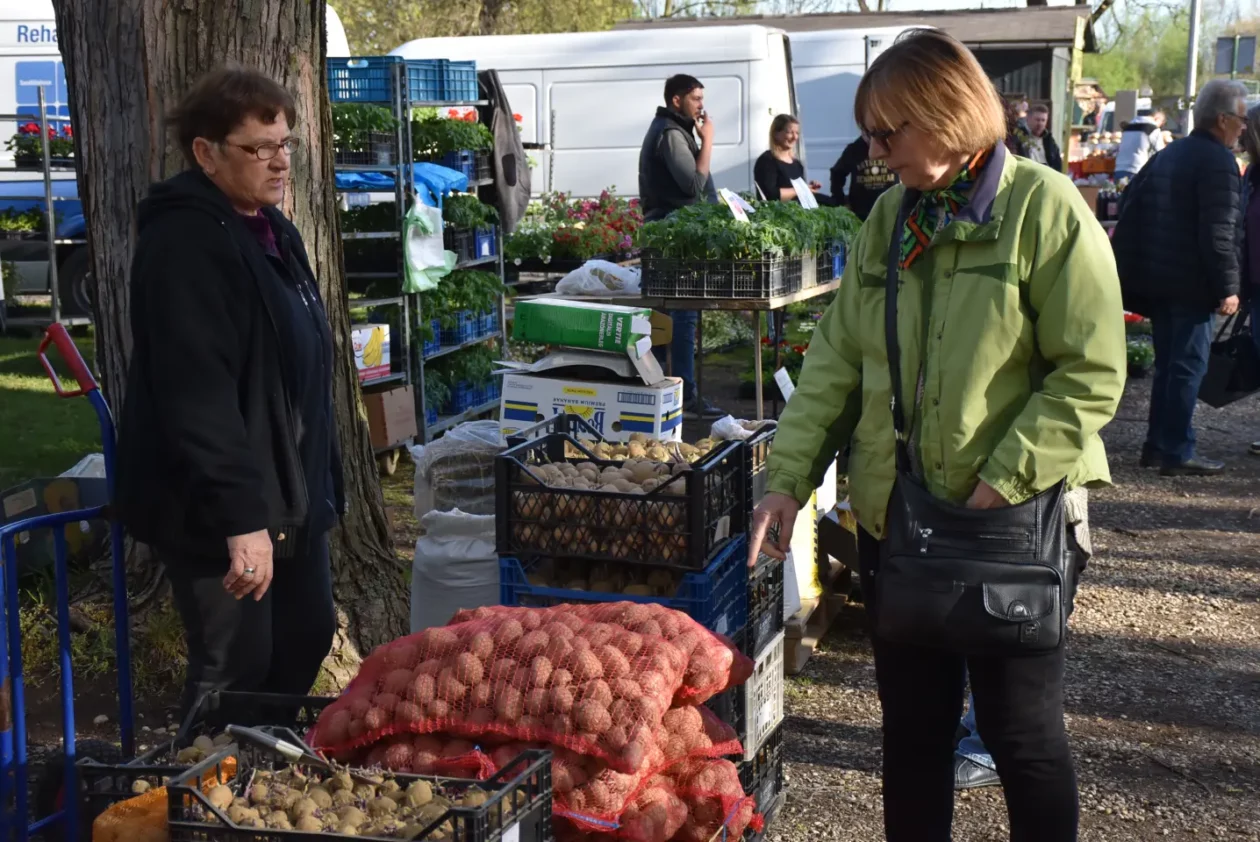 Sajam 16.4.25., Čakovec (11)