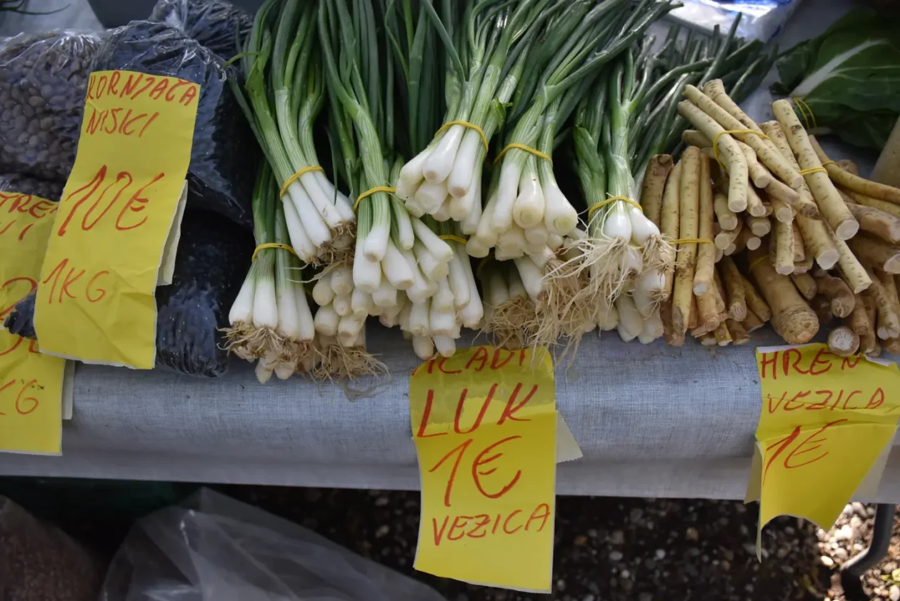 Sajam 16.4.25., Čakovec (14), mladi luk
