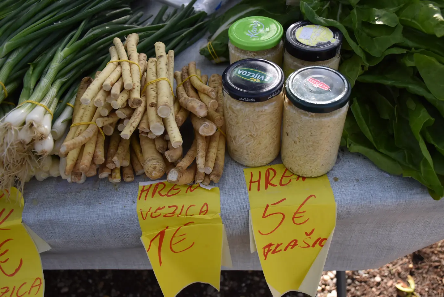 Sajam 16.4.25., Čakovec (15), hren Sajam 16.4.25., Čakovec (15), hren