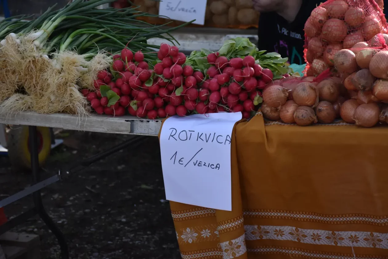 Sajam 16.4.25., Čakovec (17), rotkvice