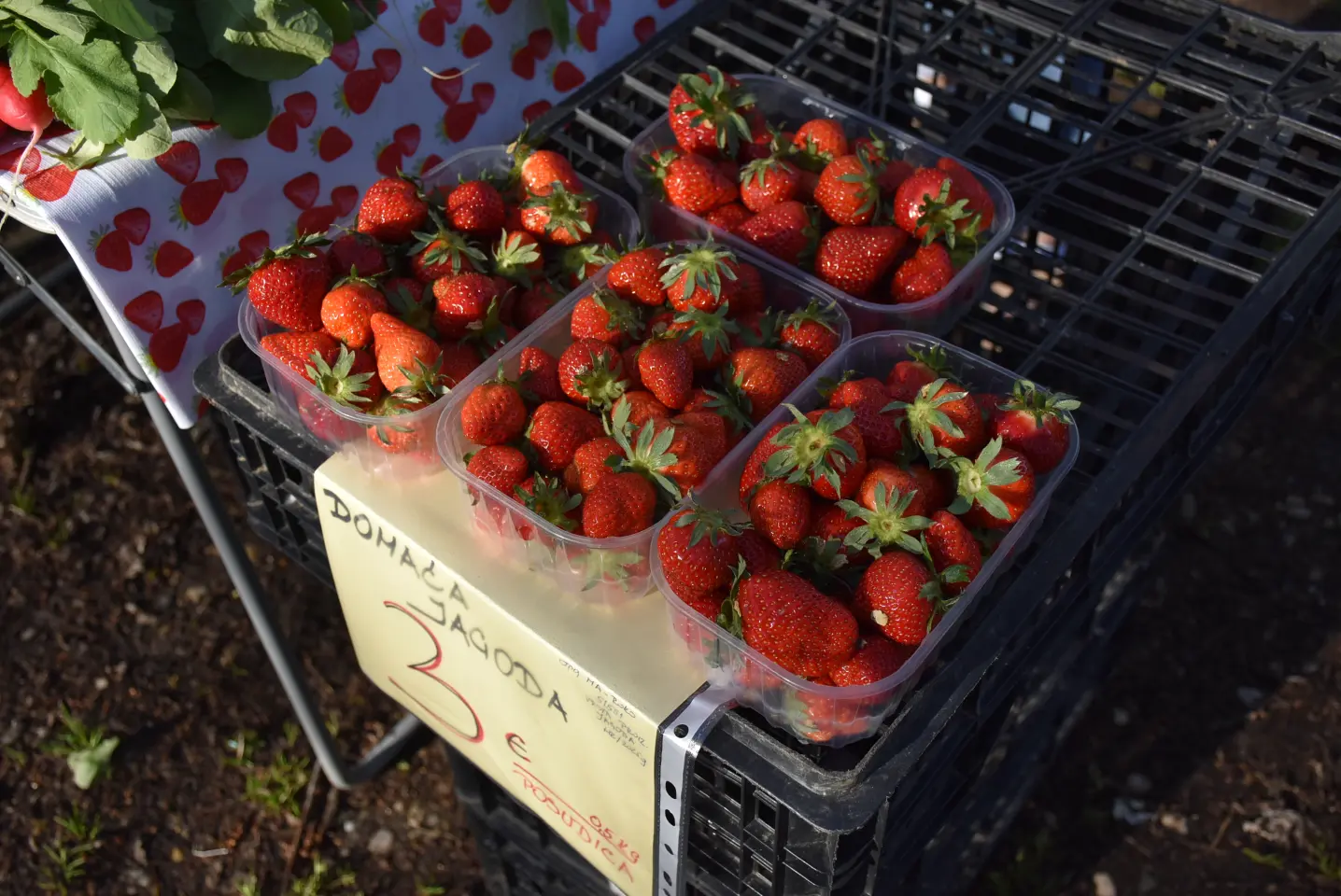 Sajam 16.4.25., Čakovec (22)