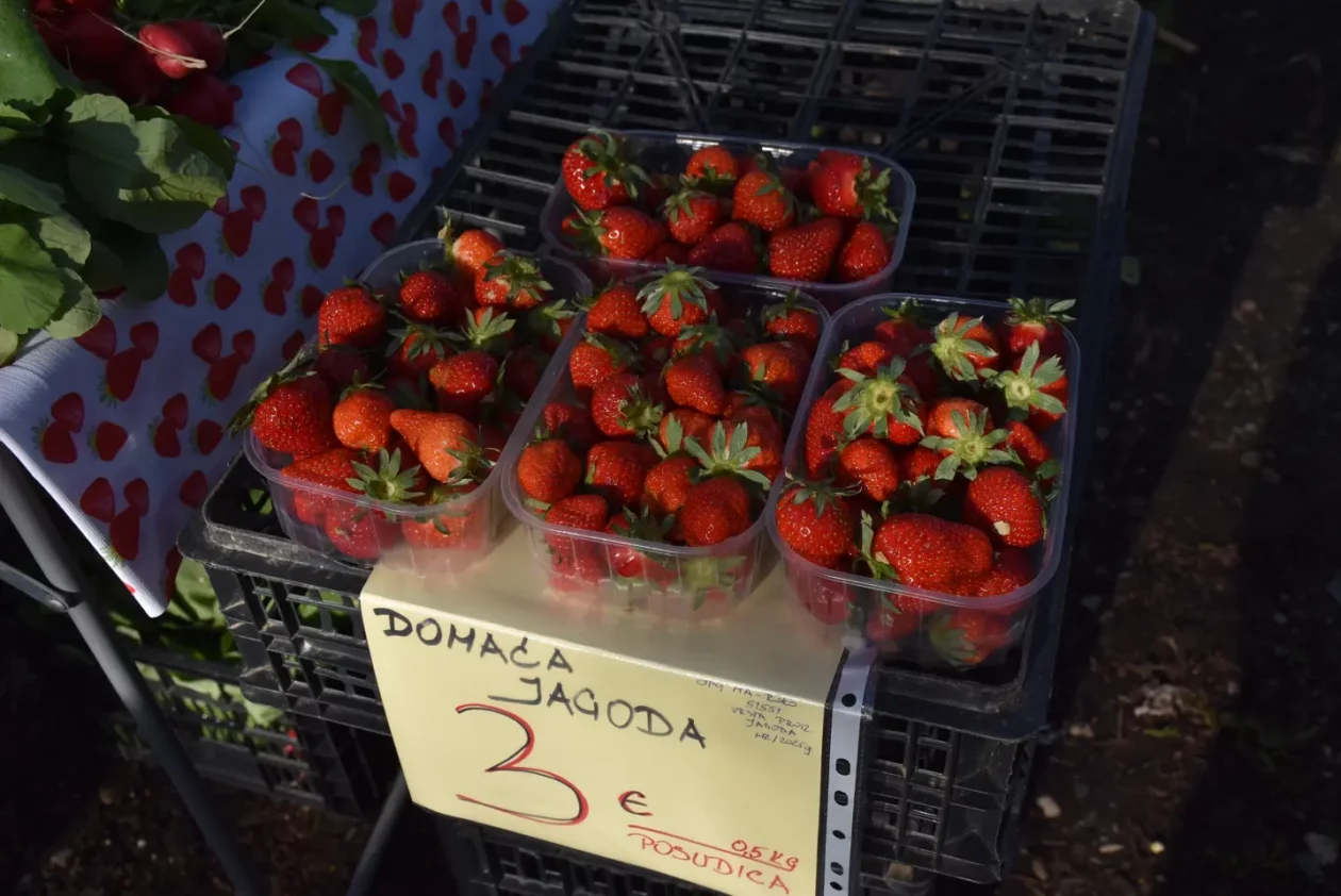 Sajam 16.4.25., Čakovec (26) Sajam 16.4.25., Čakovec (26)