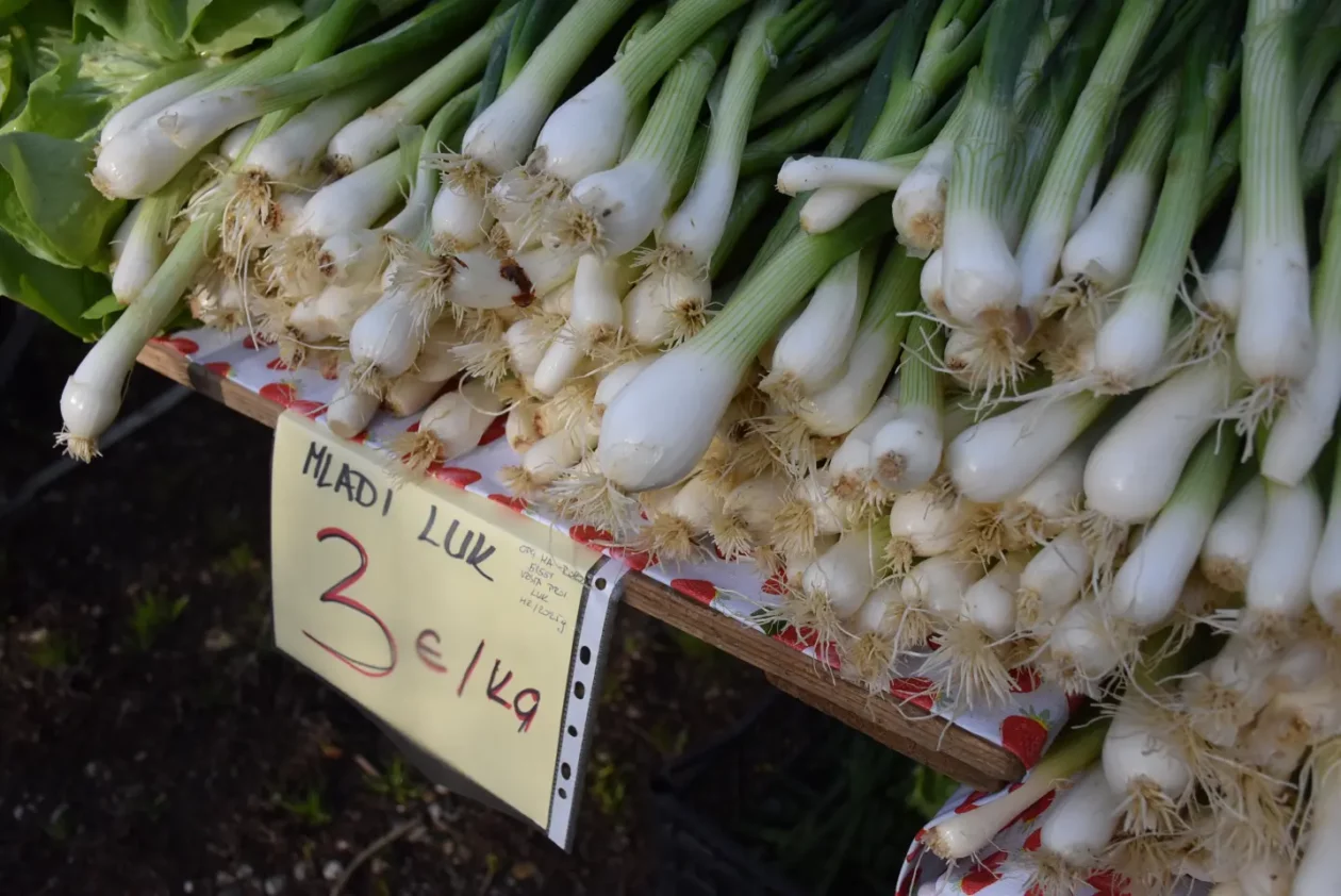 Sajam 16.4.25., Čakovec (28) Sajam 16.4.25., Čakovec (28)