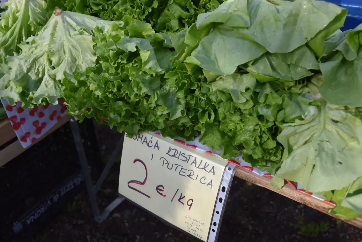 Sajam 16.4.25., Čakovec (29) Sajam 16.4.25., Čakovec (29)