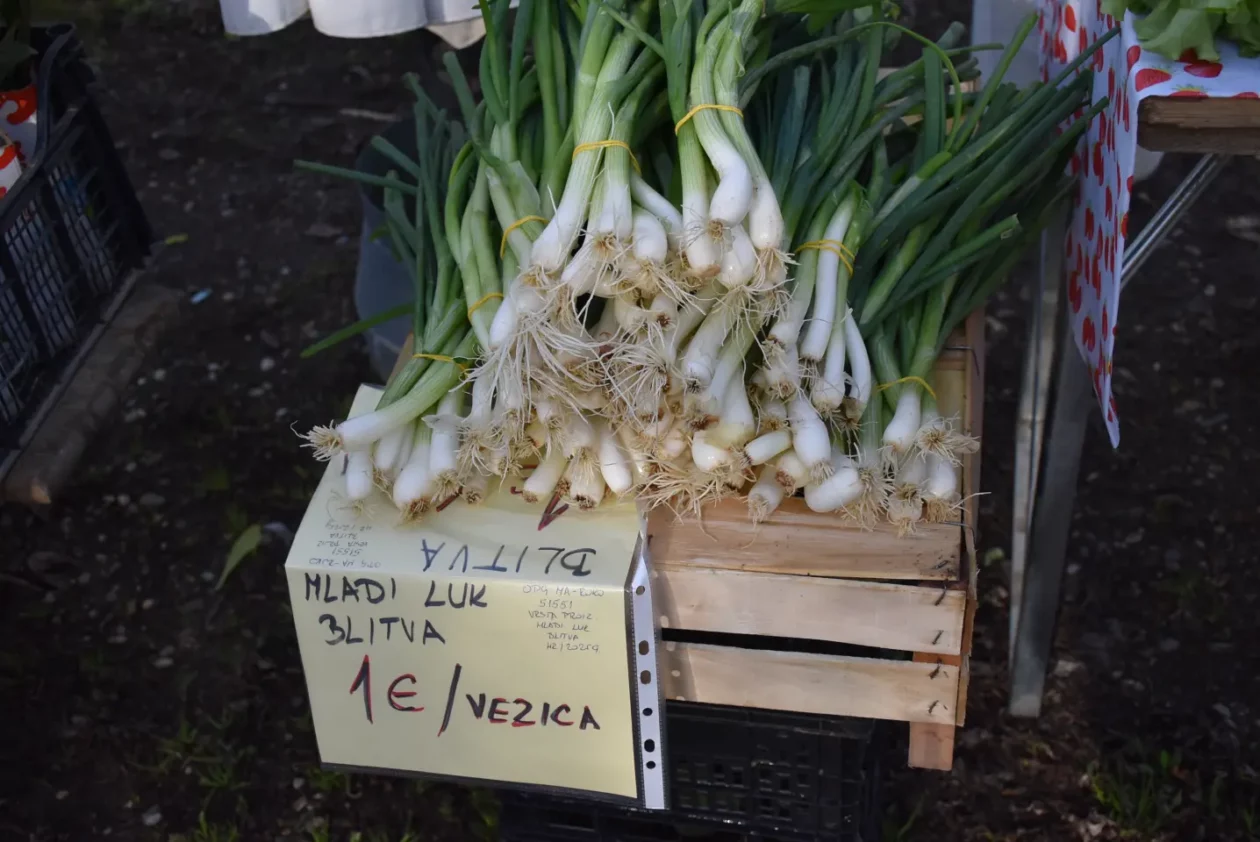 Sajam 16.4.25., Čakovec (30)