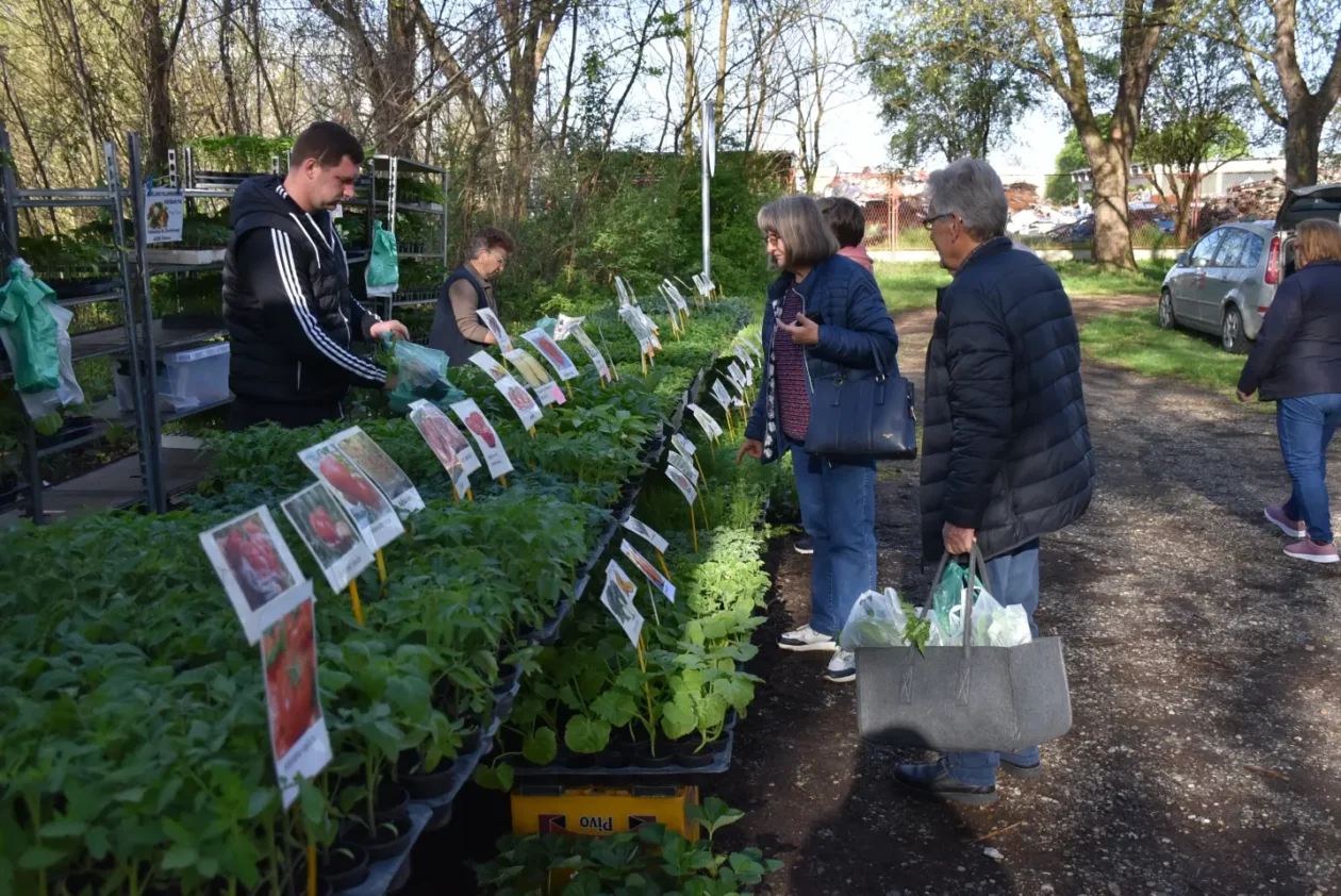 Sajam 16.4.25., Čakovec (31)