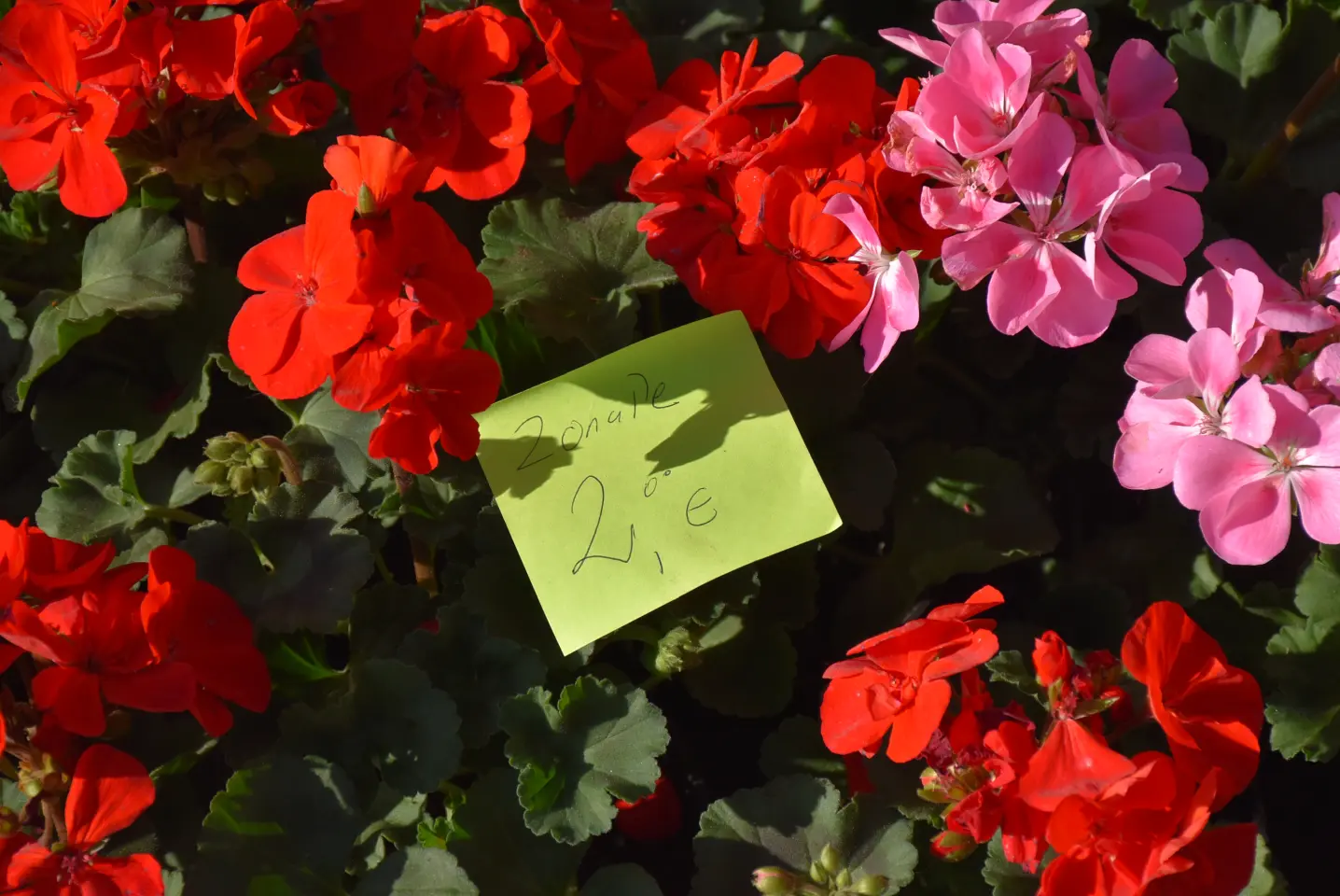 Sajam 16.4.25., Čakovec (36) Sajam 16.4.25., Čakovec (36)