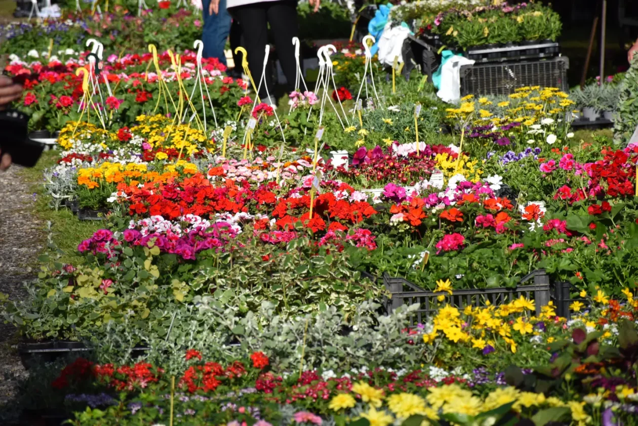 Sajam 16.4.25., Čakovec (41)