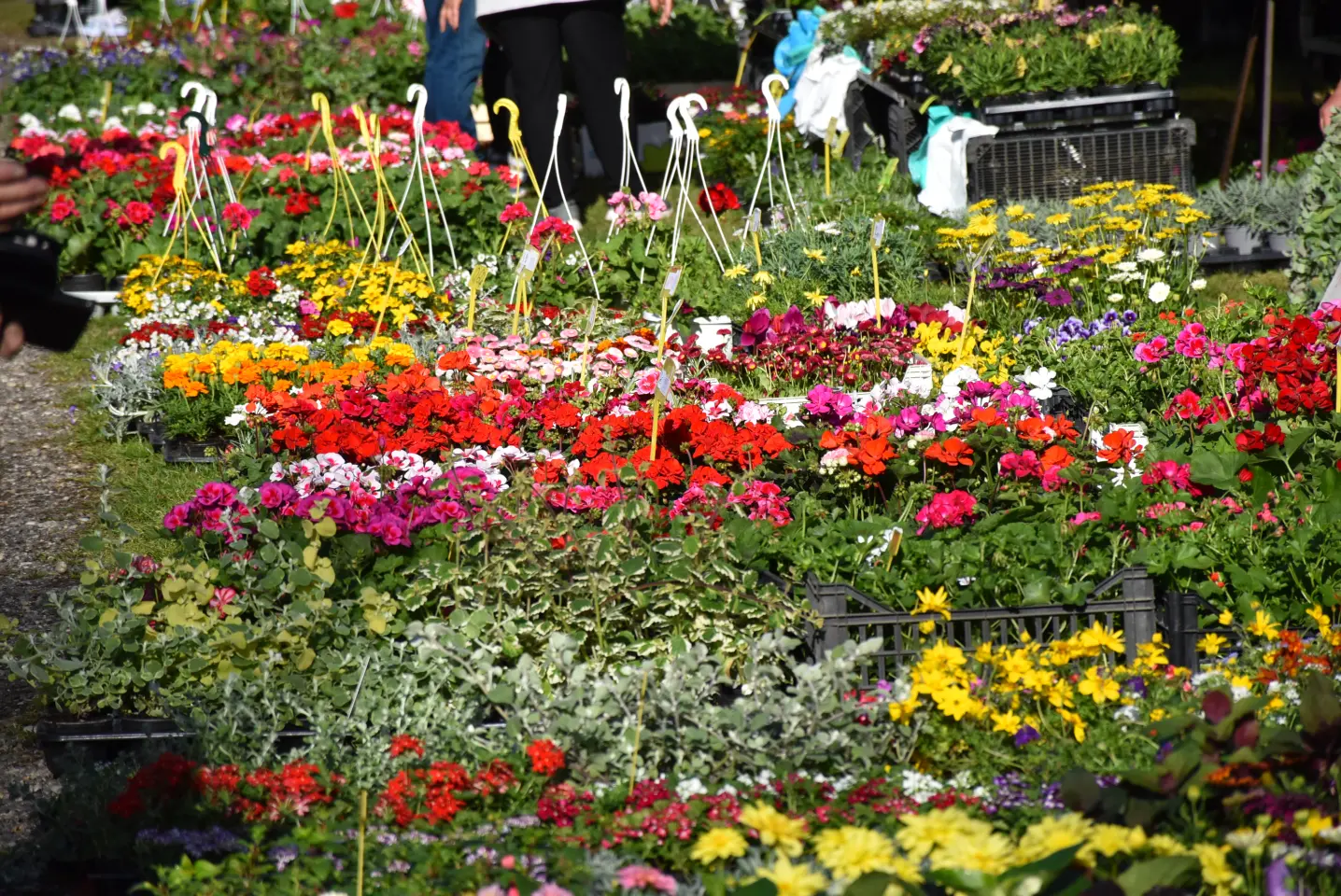 Sajam 16.4.25., Čakovec (41) Sajam 16.4.25., Čakovec (41)