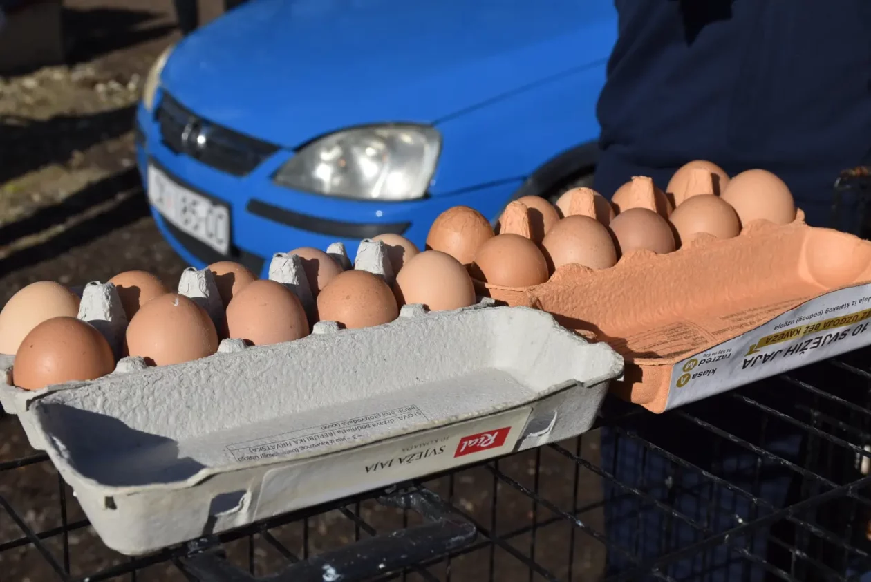 Sajam 16.4.25., Čakovec (54)