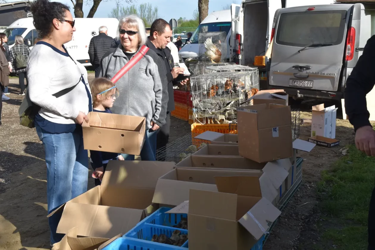 Sajam 16.4.25., Čakovec (55)