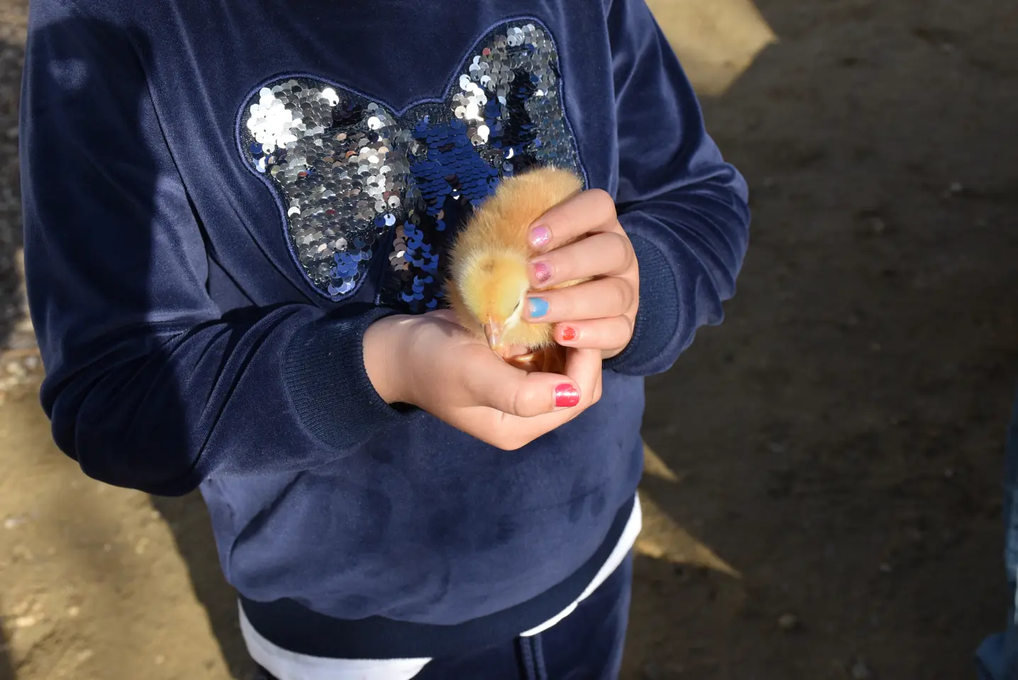 Sajam 16.4.25., Čakovec (58) Sajam 16.4.25., Čakovec (58)