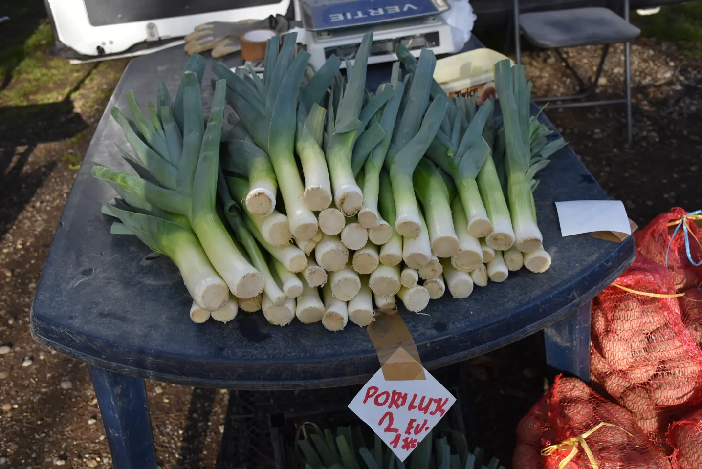 Sajam 16.4.25., Čakovec (9), mladi luk Sajam 16.4.25., Čakovec (9), mladi luk