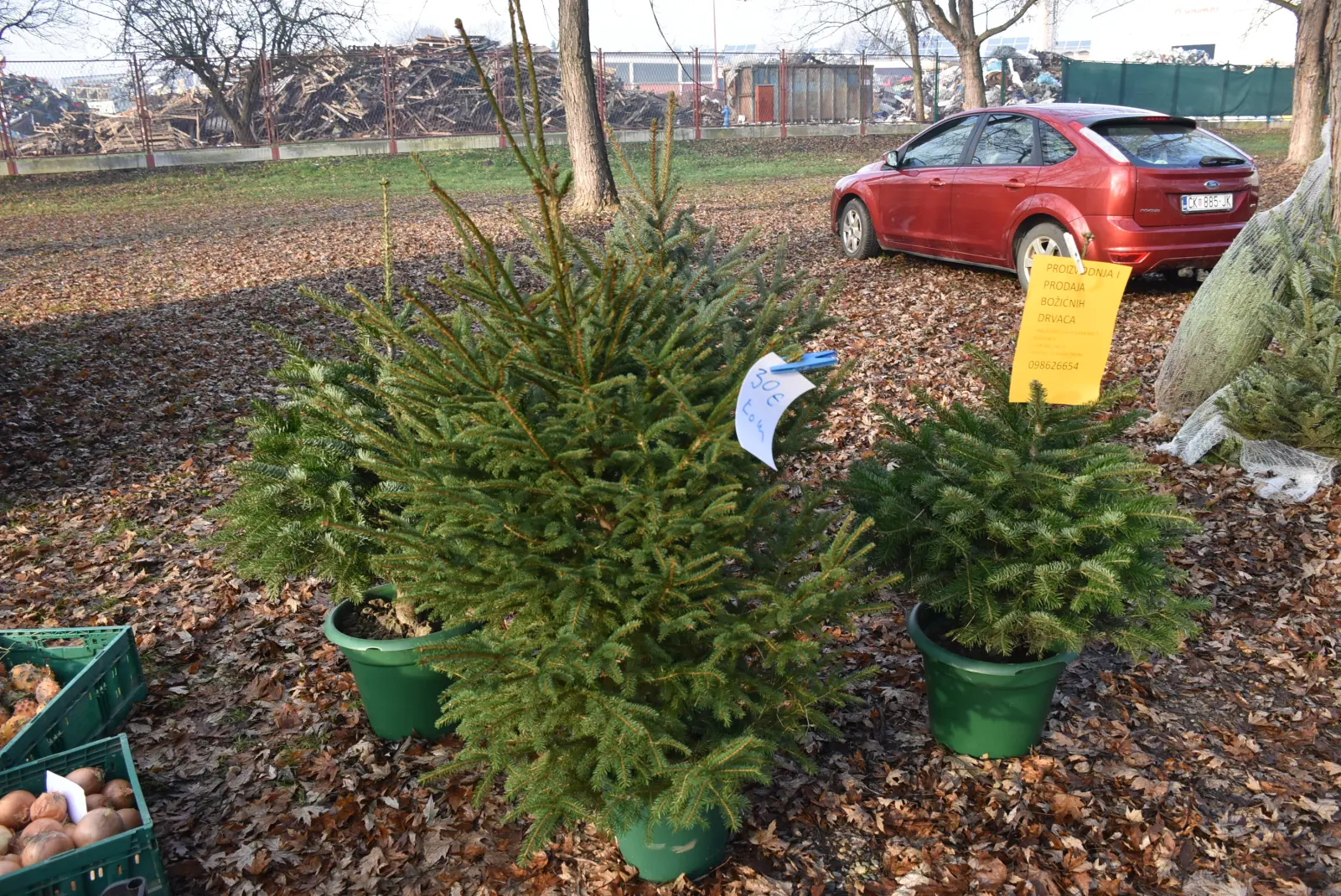 Sajam 18.12.24 (17) Sajam 18.12.24 (17)