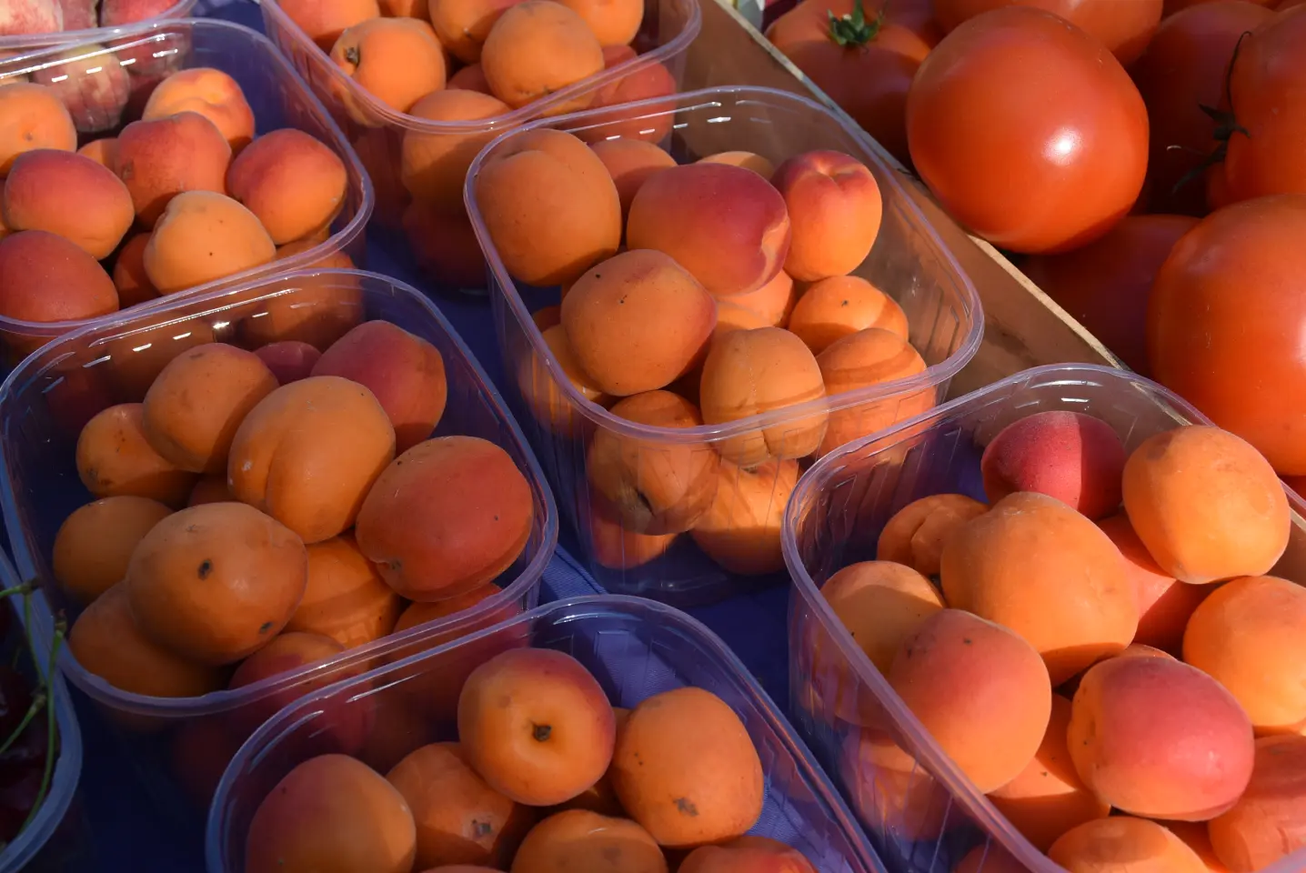 Sajam, 18.6.2025., Čakovec (11)