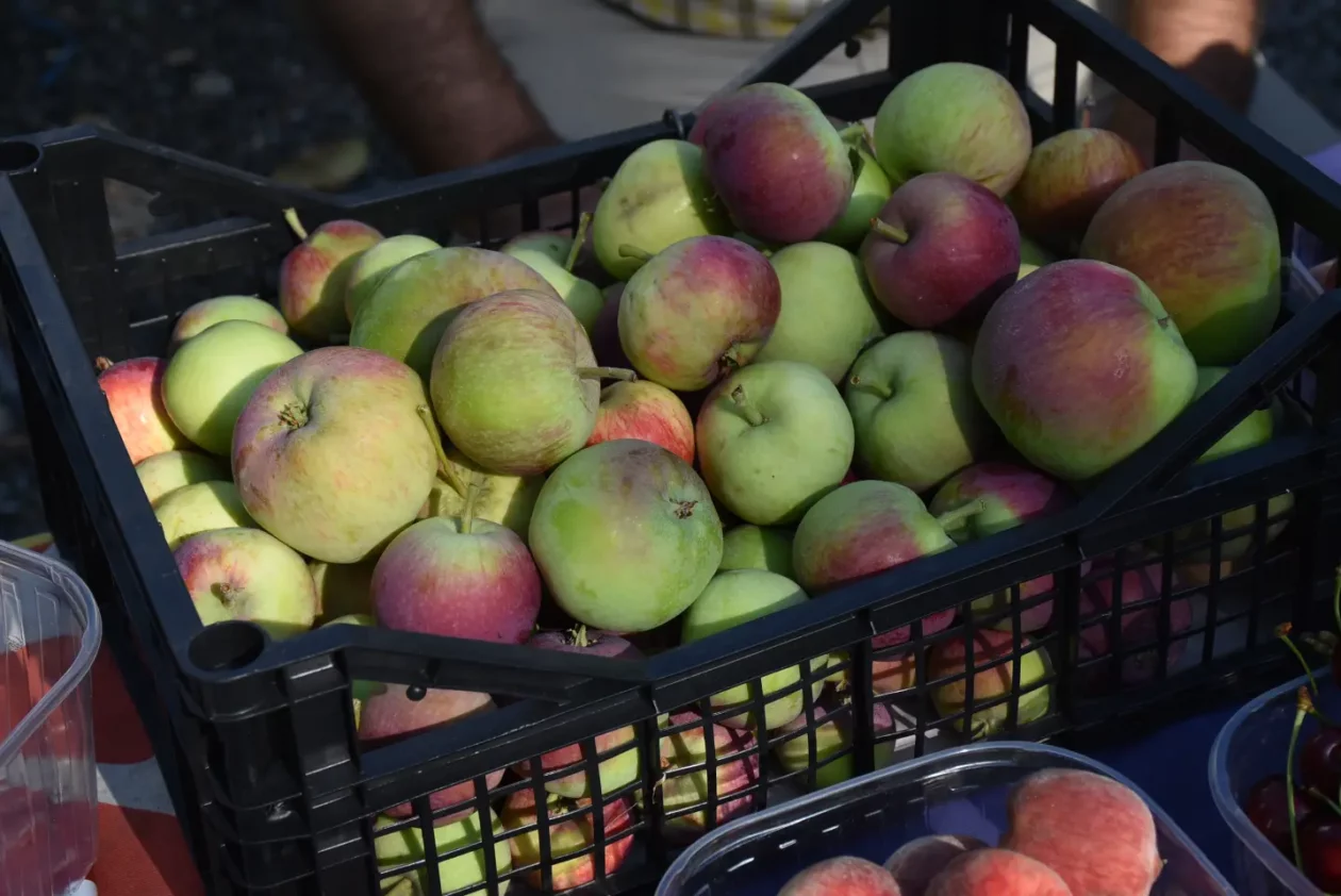Sajam, 18.6.2025., Čakovec (12) Sajam, 18.6.2025., Čakovec (12)