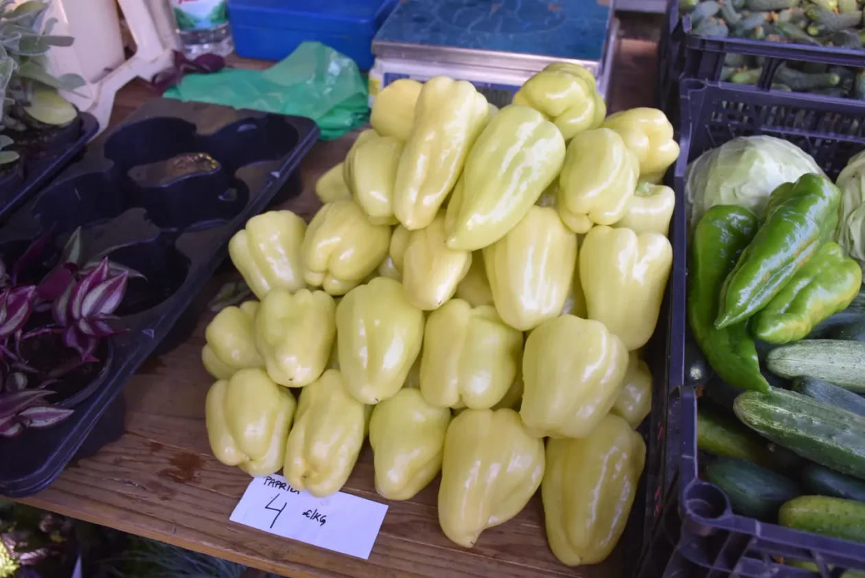 Sajam, 18.6.2025., Čakovec (13) Sajam, 18.6.2025., Čakovec (13)