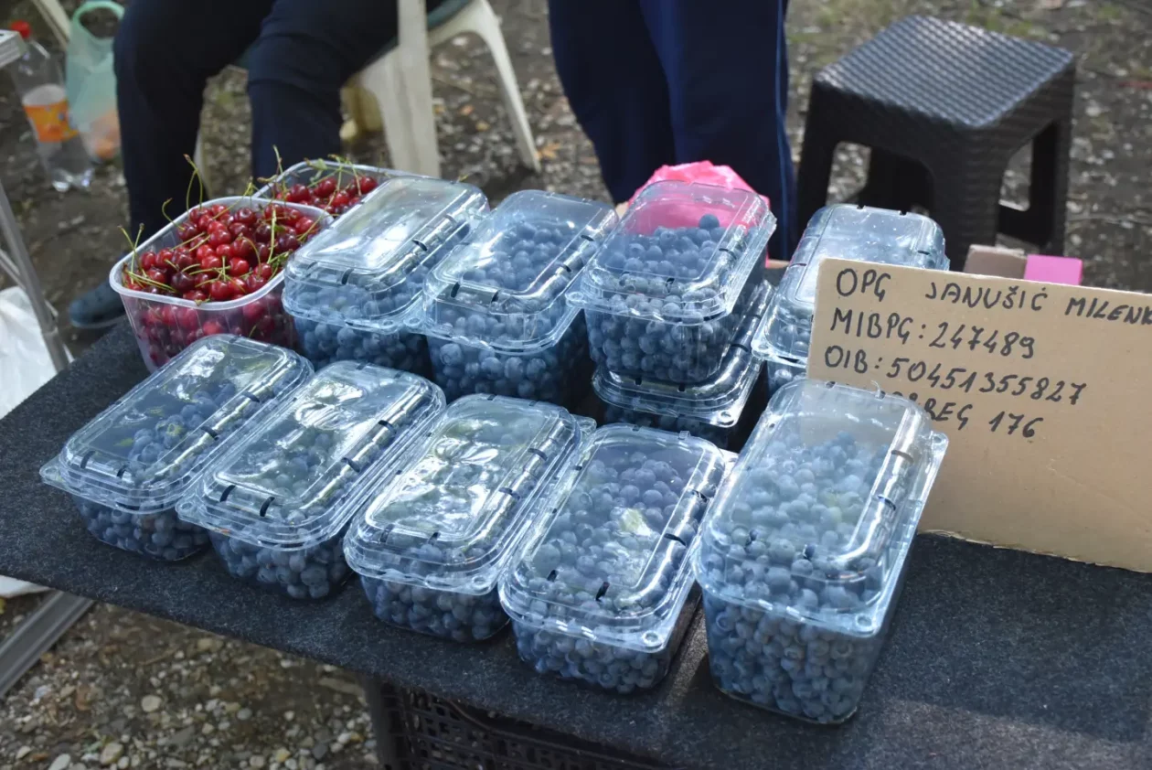 Sajam, 18.6.2025., Čakovec (16) Sajam, 18.6.2025., Čakovec (16)