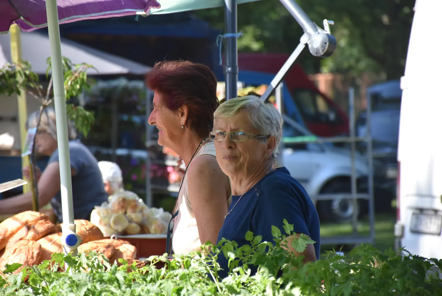 Sajam, 18.6.2025., Čakovec (2)