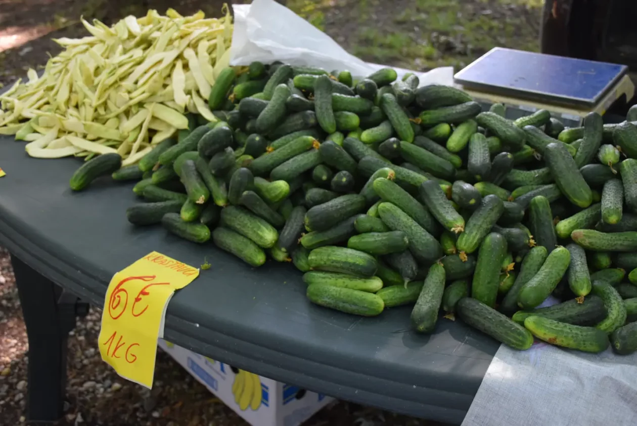 Sajam, 18.6.2025., Čakovec (24) Sajam, 18.6.2025., Čakovec (24)