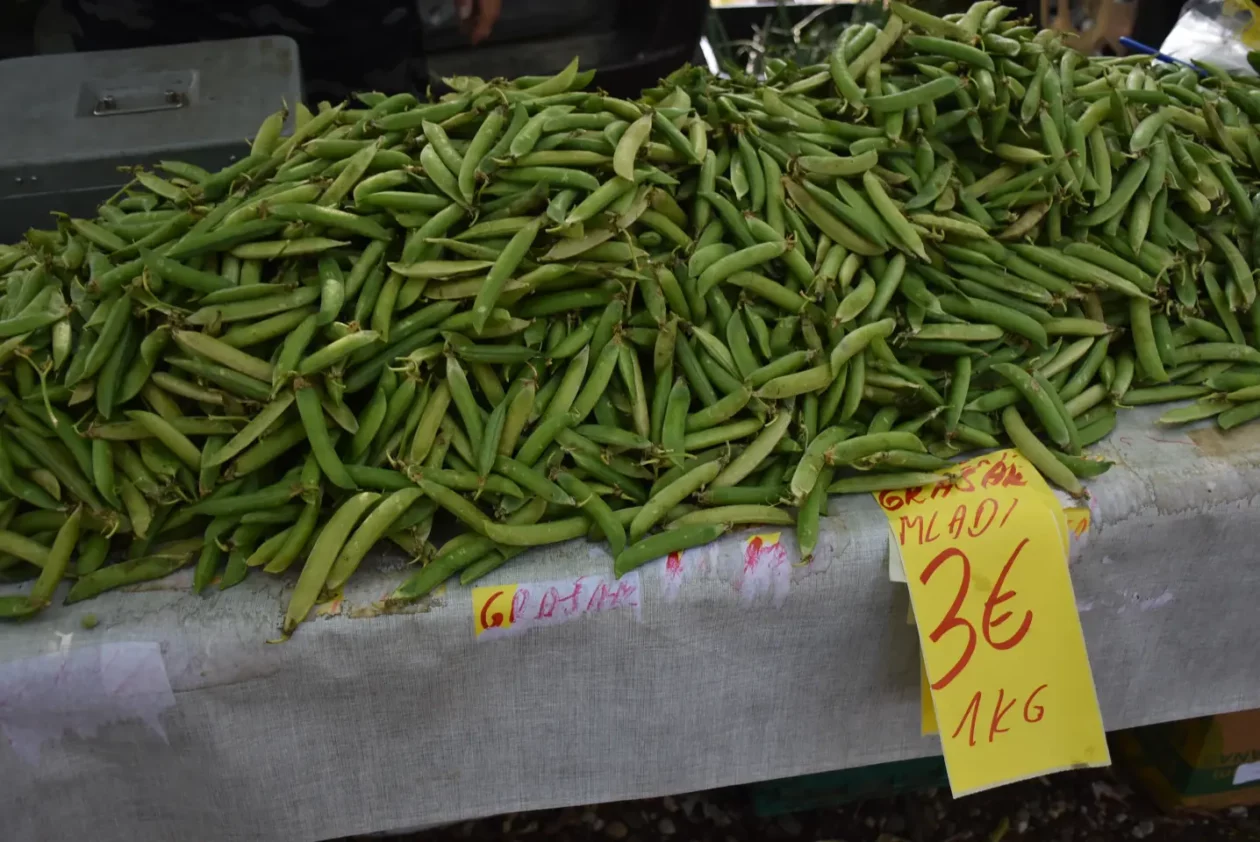 Sajam, 18.6.2025., Čakovec (25) Sajam, 18.6.2025., Čakovec (25)