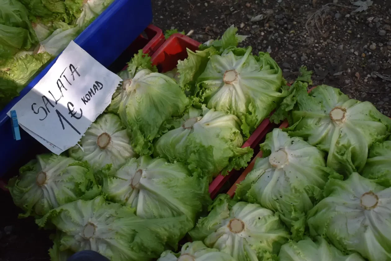 Sajam, 18.6.2025., Čakovec (29) Sajam, 18.6.2025., Čakovec (29)