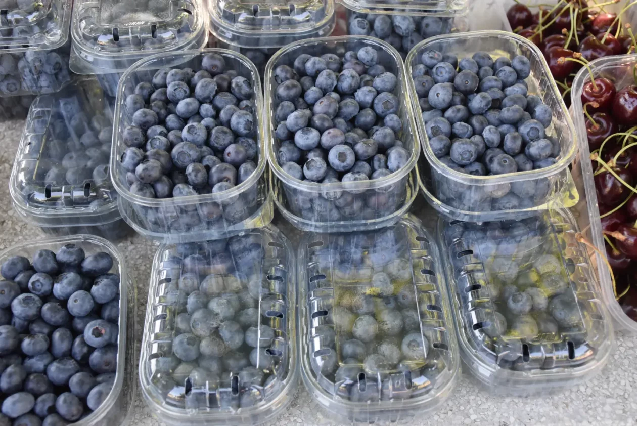 Sajam, 18.6.2025., Čakovec (3) Sajam, 18.6.2025., Čakovec (3)