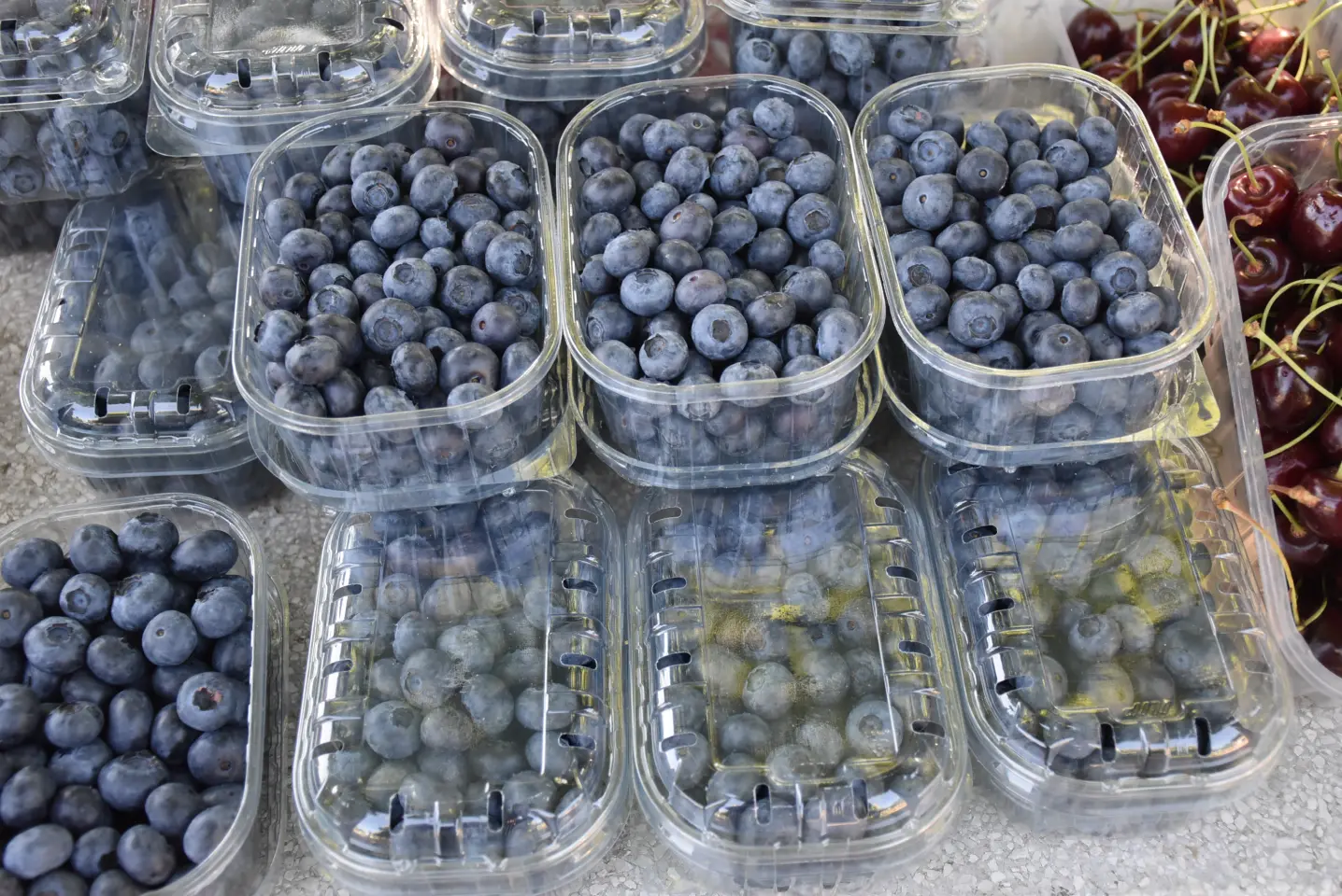 Sajam, 18.6.2025., Čakovec (3)