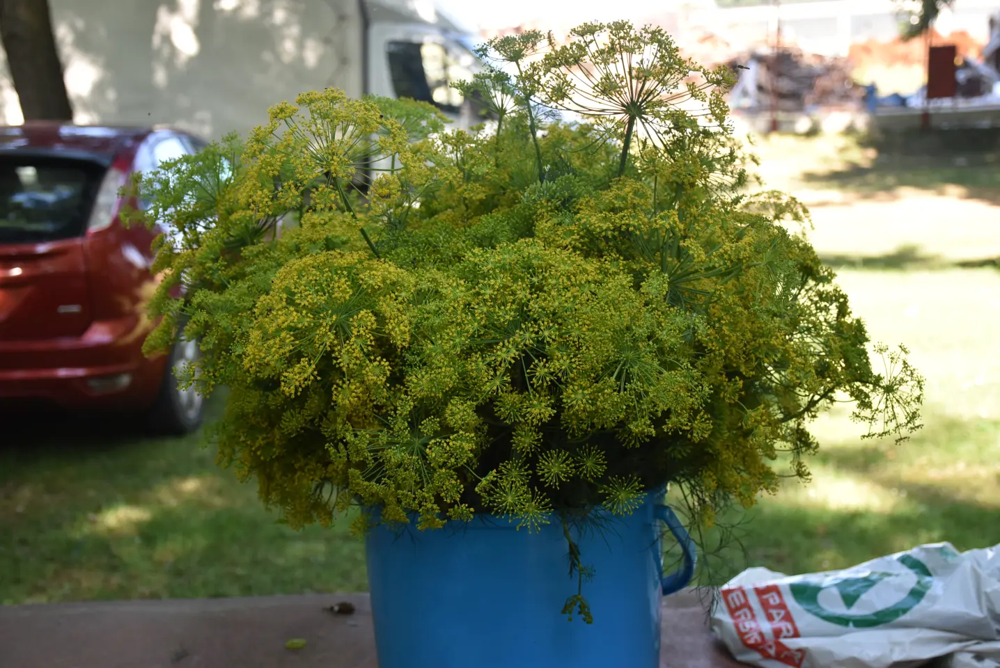 Sajam, 18.6.2025., Čakovec (31)