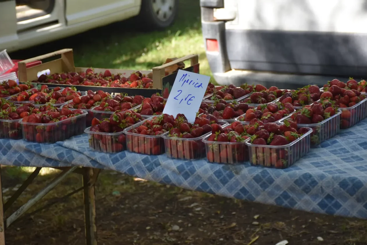Sajam, 18.6.2025., Čakovec (36) Sajam, 18.6.2025., Čakovec (36)