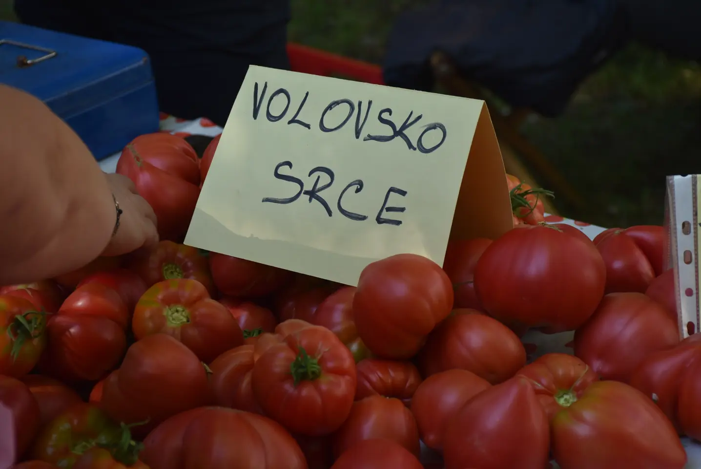 Sajam, 18.6.2025., Čakovec (38)