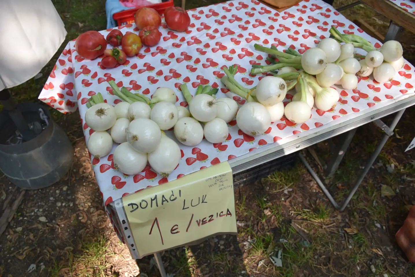 Sajam, 18.6.2025., Čakovec (39)