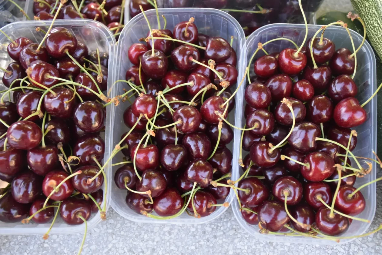 Sajam, 18.6.2025., Čakovec (4) Sajam, 18.6.2025., Čakovec (4)